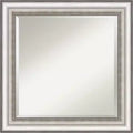 25" x 25" Salon Framed Wall Mirror Silver - Amanti Art