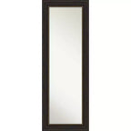 19" x 53" Non-Beveled Accent Bronze Full Length on The Door Mirror - Amanti Art: Polystyrene Frame, Includes Mounting Hardware