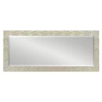 Specchio decorativo da parete incorniciato Coolidge smussato 18" x 50" dorato - Kate & Laurel All Things Decor: finitura champagne, testurizzato