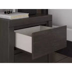 Comodino Signature Design by Ashley Candanew a 2 cassetti con porte di ricarica USB, grigio antracite