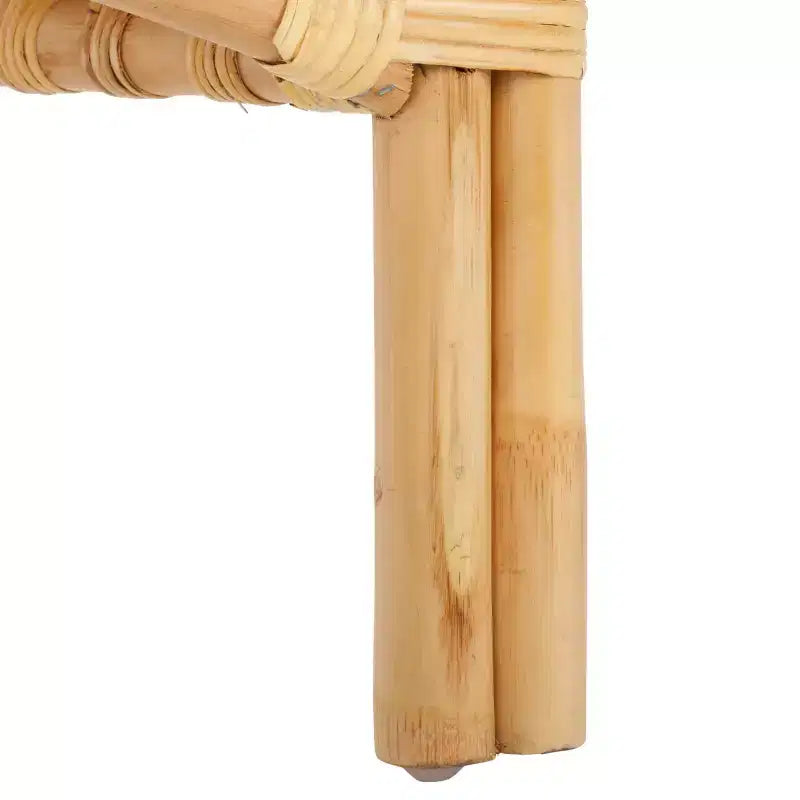 Poltrona Aragorn con cuscino - ACH6529 - Safavieh