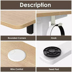 PexFix Scrivania Elettrica Regolabile in Altezza 122 x 61 cm, con Piano in Legno Naturale, Scrivania Computer per Casa e Ufficio con Pannello Giuntato