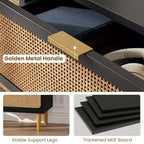 Cassettiera Garvee Rattan a 5 cassetti per Camera da Letto, Cassettone Alto con Piano Largo e Cassetti Profondi per Soggiorno, Corridoio, Camera dei Bambini