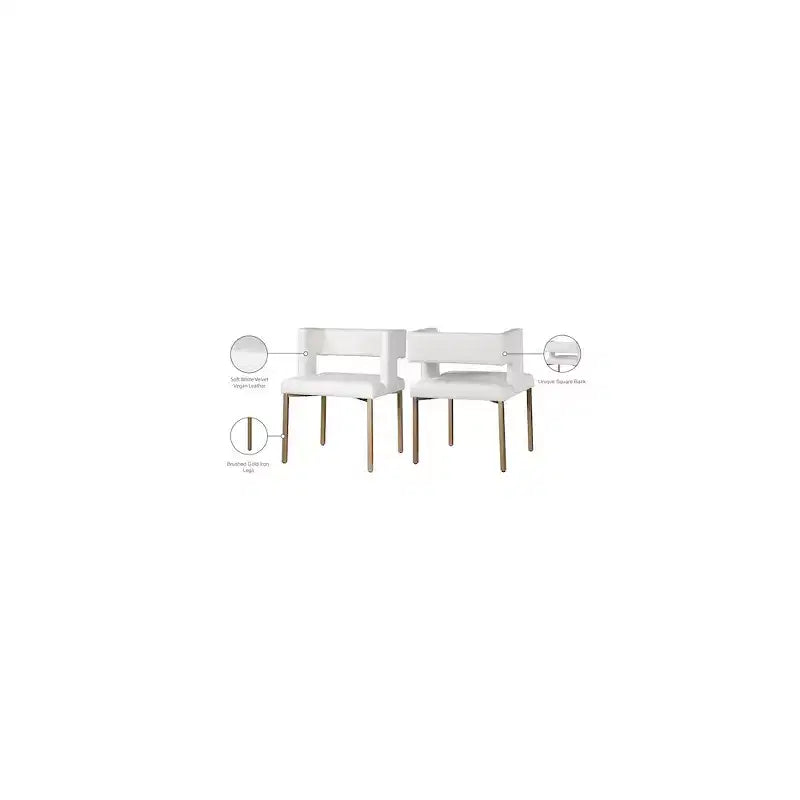 Meridian Furniture, Sedia da pranzo Caleb in velluto, set da 2