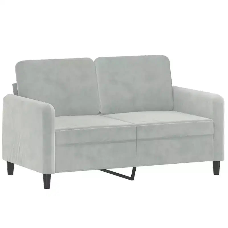 vidaXL Set divani 2 pz in velluto grigio chiaro - Seduta confortevole con imbottitura spessa e materiale resistente per soggiorno o ufficio