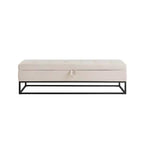 Panca in velluto TUYOHW con base in metallo e contenitore, panca da letto per soggiorno, Beige