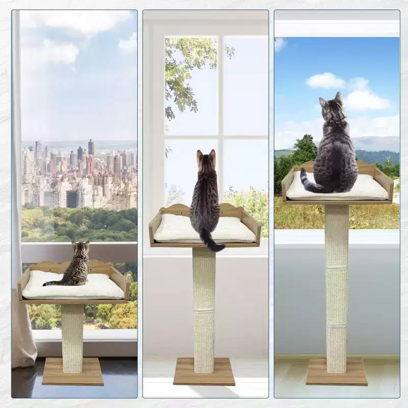Cuccia per Finestra per Gatti, Tiragraffi per Gatti - 100 cm con Palo in Sisal, Regolabile in Altezza, 2 Mensole da Parete, Cuscino Rimovibile, Ventose per Piccoli Spazi