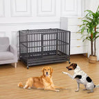 Gabbia Kennel Cuccia per Cani Robusta, Acciaio Indistruttibile Anti-Fuga, Ruote Bloccabili a 360°, Vassoio Estraibile, Design con Apertura Superiore, per Cani di Taglia Media e Grande