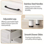 Sandinrayli Comodino Bianco con 2 Cassetti, Cassettiera Piccola per Camera da Letto Armadio Cassetti in Legno con Maniglie in Acciaio, Bianco