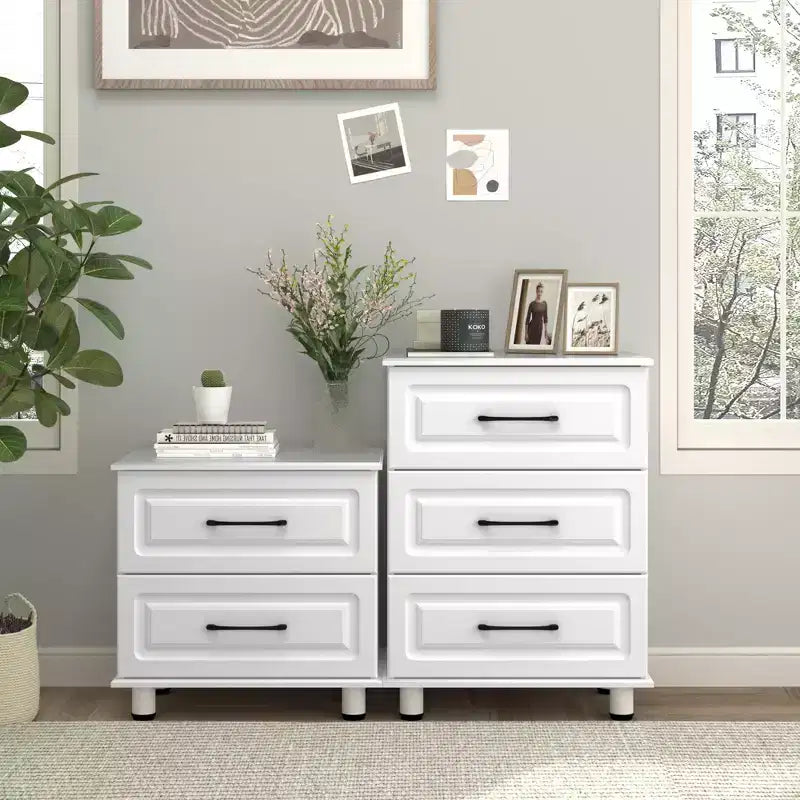 Sandinrayli Comodino Bianco con 2 Cassetti, Cassettiera Piccola per Camera da Letto Armadio Cassetti in Legno con Maniglie in Acciaio, Bianco