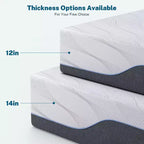 Dyonery Materasso in Memory Foam Fermo, Misura Twin XL, Rinfrescante al Tè Verde/Gel Premier