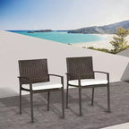 Set di sedie da pranzo da esterno in PE Rattan con cuscino, 2 sedie da pranzo in vimini per patio con schienale