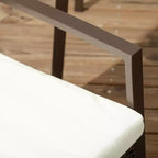 Set di sedie da pranzo da esterno in PE Rattan con cuscino, 2 sedie da pranzo in vimini per patio con schienale