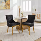 Okak Sedie da pranzo moderne in ciniglia con gambe curve placcate in oro, set di 2 sedie da pranzo imbottite con rifiniture a rivetti, sedie da cucina per la casa