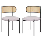 Okak Sedie da Pranzo Moderne Set da 2/4, Sedie da Pranzo Imbottite con Schienale in Rattan e Gambe in Metallo, Sedie da Cucina per Sala da Pranzo, Soggiorno