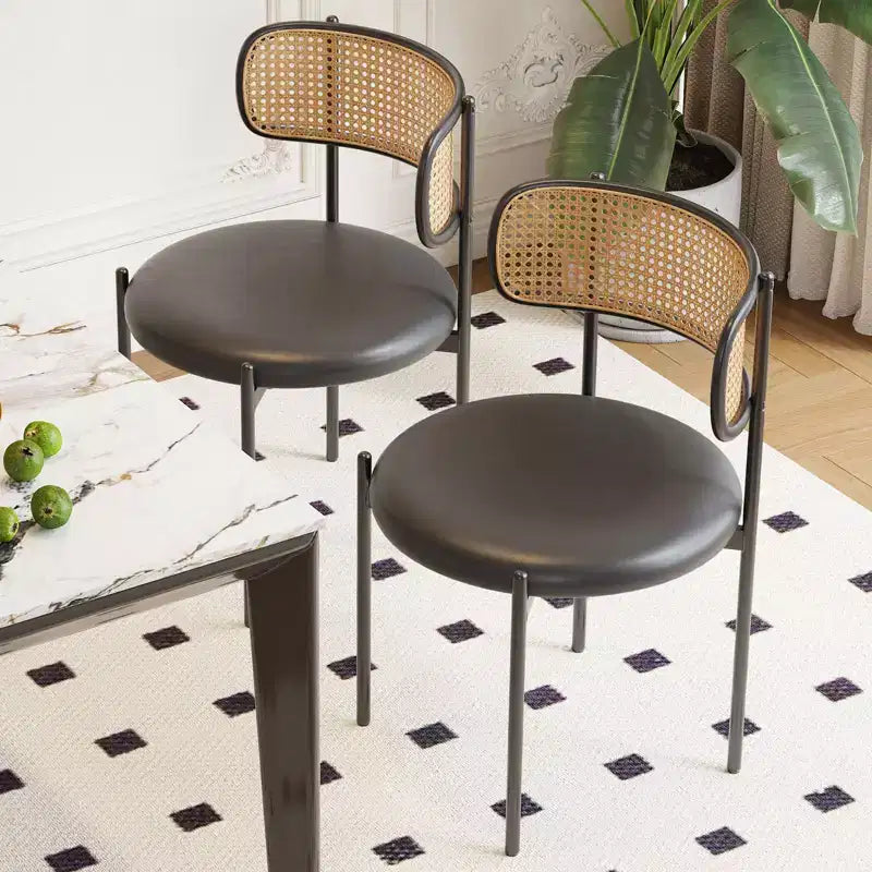 Okak Sedie da Pranzo Moderne Set da 2/4, Sedie da Pranzo Imbottite con Schienale in Rattan e Gambe in Metallo, Sedie da Cucina per Sala da Pranzo, Soggiorno