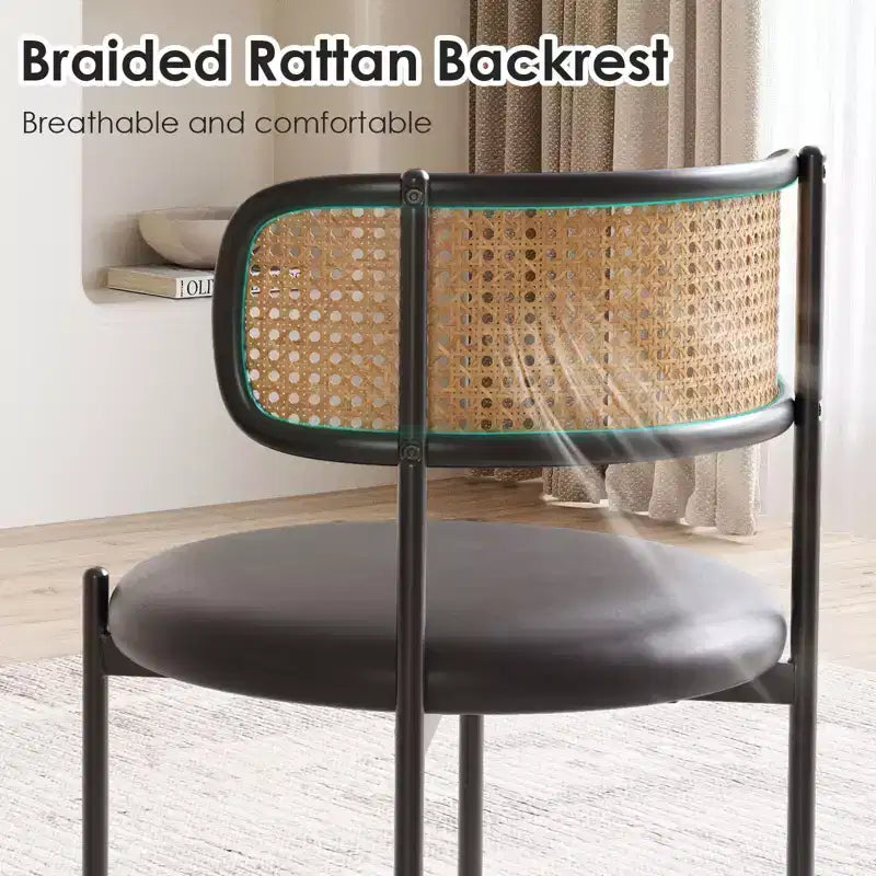 Okak Sedie da Pranzo Moderne Set da 2/4, Sedie da Pranzo Imbottite con Schienale in Rattan e Gambe in Metallo, Sedie da Cucina per Sala da Pranzo, Soggiorno