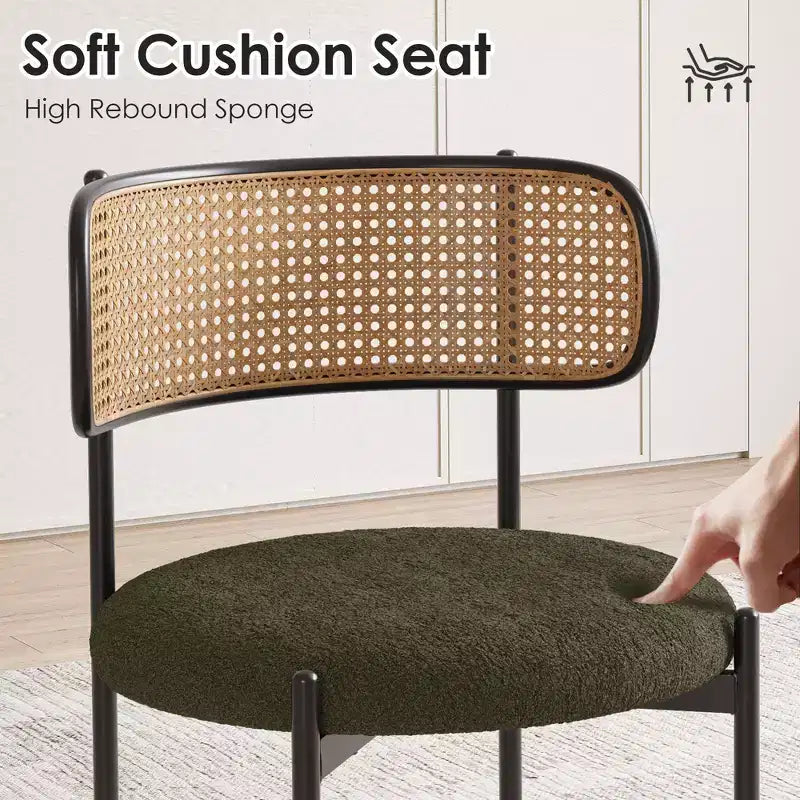 Okak Sedie da Pranzo Moderne Set da 2/4, Sedie da Pranzo Imbottite con Schienale in Rattan e Gambe in Metallo, Sedie da Cucina per Sala da Pranzo, Soggiorno