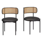 Okak Sedie da Pranzo Moderne Set da 2/4, Sedie da Pranzo Imbottite con Schienale in Rattan e Gambe in Metallo, Sedie da Cucina per Sala da Pranzo, Soggiorno