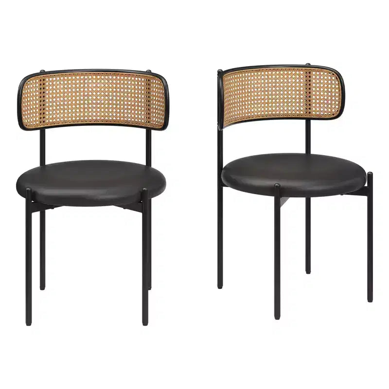 Okak Sedie da Pranzo Moderne Set da 2/4, Sedie da Pranzo Imbottite con Schienale in Rattan e Gambe in Metallo, Sedie da Cucina per Sala da Pranzo, Soggiorno