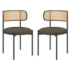 Okak Sedie da Pranzo Moderne Set da 2/4, Sedie da Pranzo Imbottite con Schienale in Rattan e Gambe in Metallo, Sedie da Cucina per Sala da Pranzo, Soggiorno