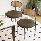 Okak Sedie da Pranzo Moderne Set da 2/4, Sedie da Pranzo Imbottite con Schienale in Rattan e Gambe in Metallo, Sedie da Cucina per Sala da Pranzo, Soggiorno