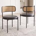 Okak Sedie da Pranzo Moderne Set da 2/4, Sedie da Pranzo Imbottite con Schienale in Rattan e Gambe in Metallo, Sedie da Cucina per Sala da Pranzo, Soggiorno