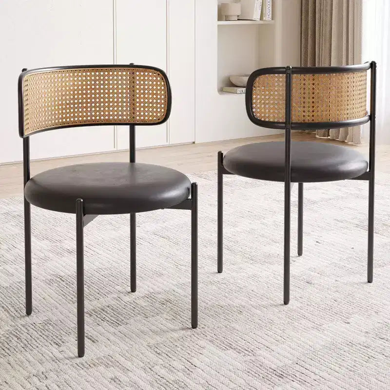 Okak Sedie da Pranzo Moderne Set da 2/4, Sedie da Pranzo Imbottite con Schienale in Rattan e Gambe in Metallo, Sedie da Cucina per Sala da Pranzo, Soggiorno