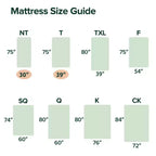 Matelas en mousse à mémoire de forme ZINUS 6 pouces Full Green Tea, sans fibre de verre, sensation ferme moyenne, soulagement de la pression zoné, mousses et tissus certifiés sûrs