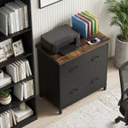 MAYEERTY 2-Drawer Lateral Filing Cabinet, Office Printer Stand Storage Cabinet