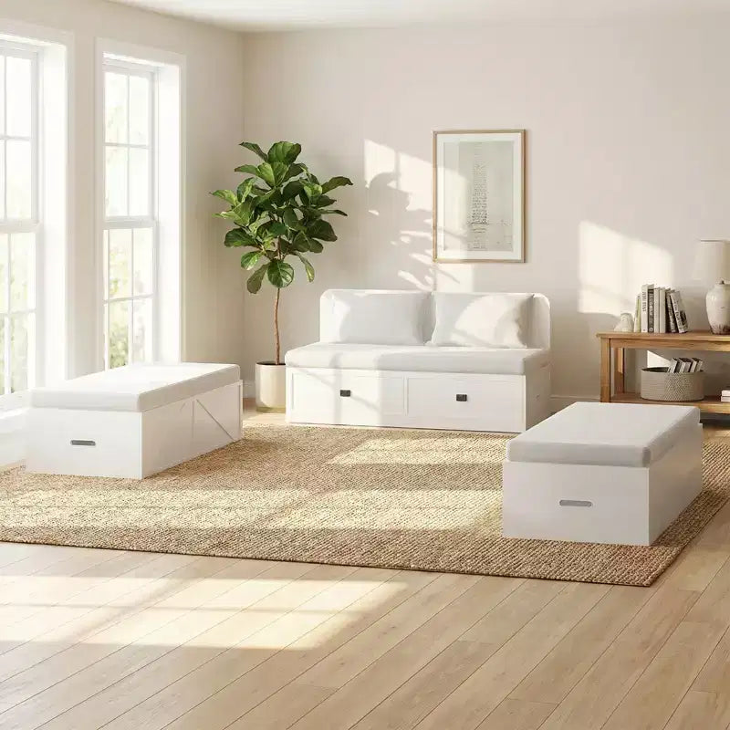 Mjkone Divano letto convertibile con contenitore, Letto a scomparsa, Matrimoniale/Queen, Materasso non incluso