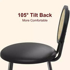 Sedie da pranzo imbottite con schienale in canna Set da 2/4, Sedie da cucina moderne con gambe in metallo, Sedile ergonomico morbido per sala da pranzo