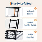 Letto a castello Twin Over Full, in metallo con scaletta e ringhiera, resistente, bordi arrotondati e lisci, design salvaspazio, ideale per dormitori e camere piccole