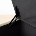 60 Moderno Velluto Panche Contenitore Imbottite, Elegante Seduta da Salotto con Contenitore Nascosto, Panchina da Fondo Letto e Ingresso-Panipeachy