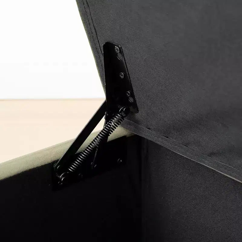 60 Moderno Velluto Panche Contenitore Imbottite, Elegante Seduta da Salotto con Contenitore Nascosto, Panchina da Fondo Letto e Ingresso-Panipeachy