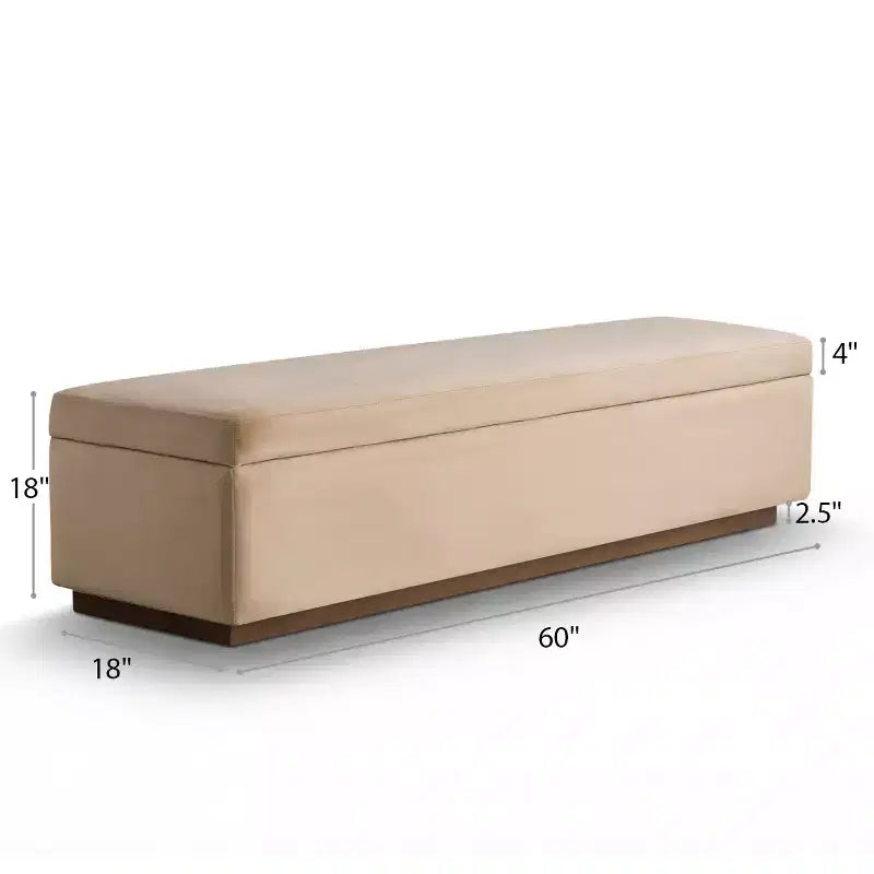 60 Moderno Velluto Panche Contenitore Imbottite, Elegante Seduta da Salotto con Contenitore Nascosto, Panchina da Fondo Letto e Ingresso-Panipeachy
