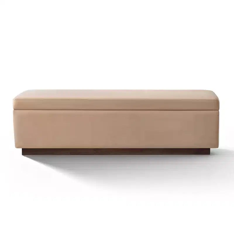 60 Moderno Velluto Panche Contenitore Imbottite, Elegante Seduta da Salotto con Contenitore Nascosto, Panchina da Fondo Letto e Ingresso-Panipeachy