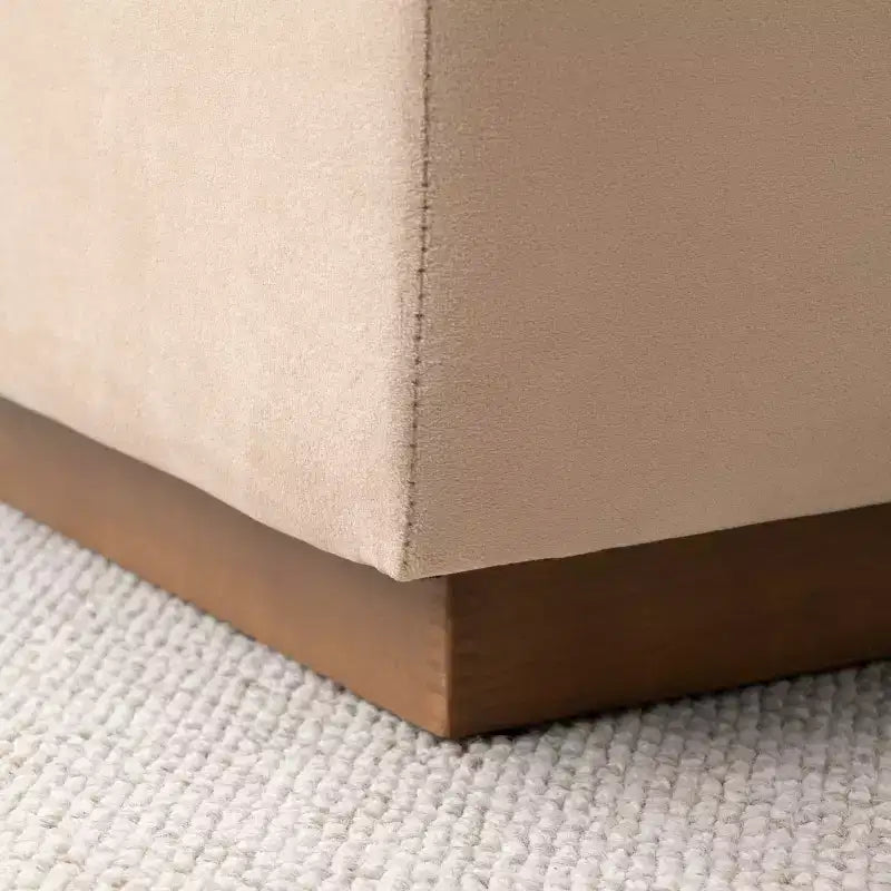 60 Moderno Velluto Panche Contenitore Imbottite, Elegante Seduta da Salotto con Contenitore Nascosto, Panchina da Fondo Letto e Ingresso-Panipeachy