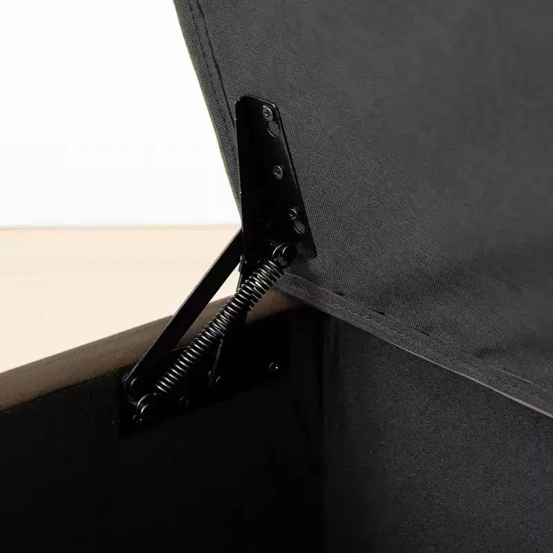 60 Moderno Velluto Panche Contenitore Imbottite, Elegante Seduta da Salotto con Contenitore Nascosto, Panchina da Fondo Letto e Ingresso-Panipeachy