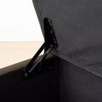 60 Moderno Velluto Panche Contenitore Imbottite, Elegante Seduta da Salotto con Contenitore Nascosto, Panchina da Fondo Letto e Ingresso-Panipeachy