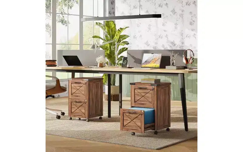 DEXYLLO Cassettiera portadocumenti a 2 cassetti con cartelle sospese, Armadietto portaoggetti mobile su ruote per ufficio in casa, Cassettiera da scrivania con serratura