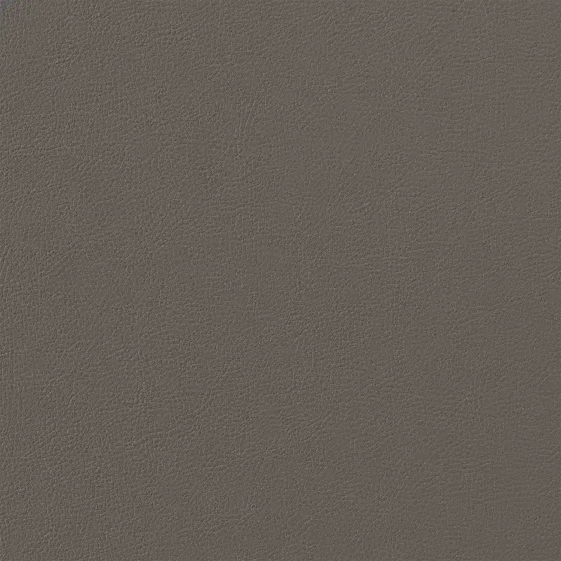 Armen Living Set di 2 sedie da pranzo Shannon in ferro e finta pelle Nero opaco/Grigio chiaro