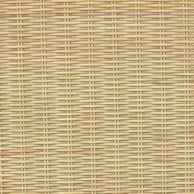 Sedia da pranzo moderna in rattan Chapin con gambe in metallo beige - Threshold™: struttura nera, design effetto rattan