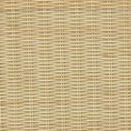 Sedia da pranzo moderna in rattan Chapin con gambe in metallo beige - Threshold™: struttura nera, design effetto rattan