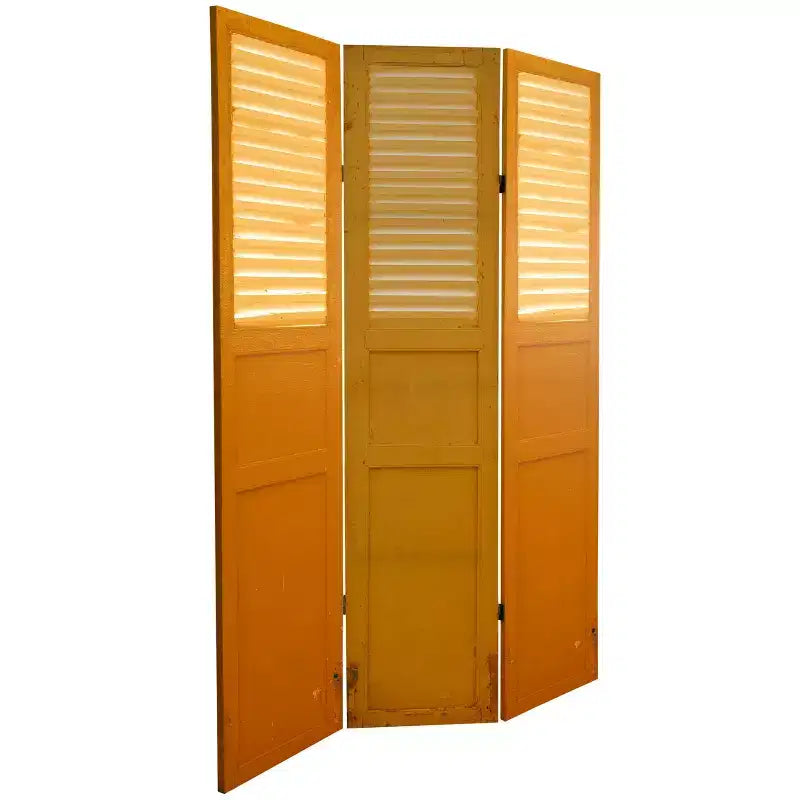 Separatore ambiente a 6 ante con tela doppia faccia effetto invecchiato e pannello per porta, colore verde - Oriental Furniture