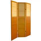 Separatore ambiente a 6 ante con tela doppia faccia effetto invecchiato e pannello per porta, colore verde - Oriental Furniture