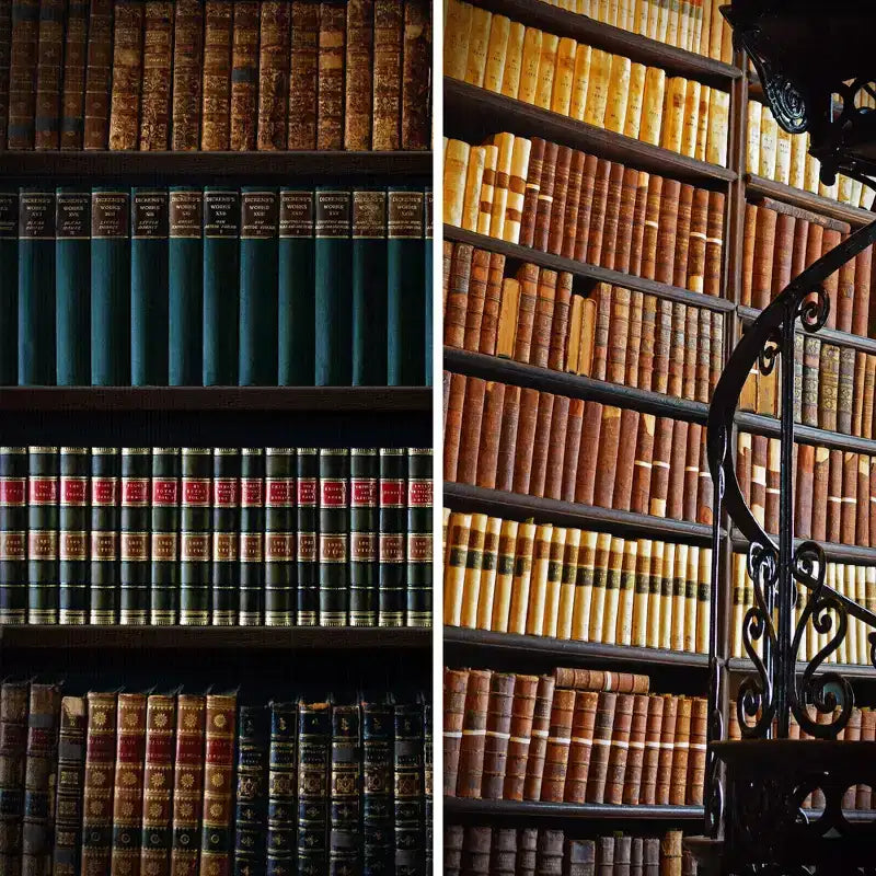 Divisorio/Paravento a 2 Lati in Tela da 6" per Biblioteca Marrone - Oriental Furniture