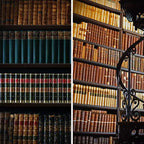 Divisorio/Paravento a 2 Lati in Tela da 6" per Biblioteca Marrone - Oriental Furniture