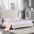 Letto Matrimoniale a 221 cm Letto Faiz in Velluto Beige - Acme Furniture: Capitonnè a Raggi, Piedini in Metallo, Nessuna Rete a Molle Necessaria