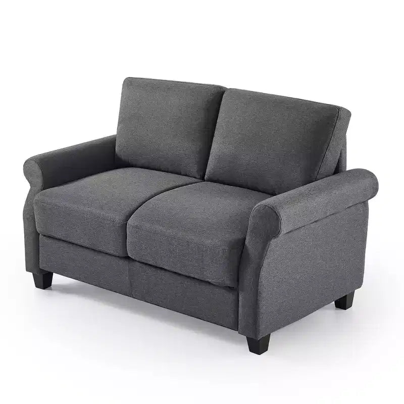 Divano Zinus Loveseat Josh 56